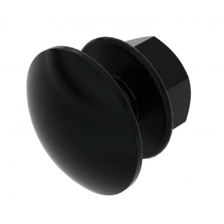 Truss-head bolt with combination nut, black, G 12 |  | Plienas | galvaniškai cinkuotas, juodai pasyvuotas