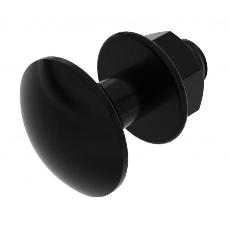 Truss-head bolt with combination nut, black, G 20 |  | Plienas | galvaniškai cinkuotas, juodai pasyvuotas